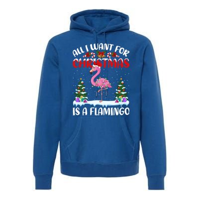 Funny Santa Hat All I Want For Christmas Is A Flamingo Great Gift Premium Hoodie