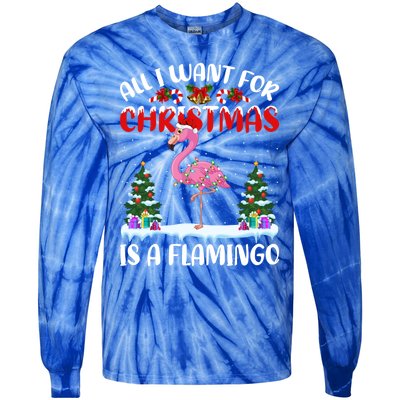 Funny Santa Hat All I Want For Christmas Is A Flamingo Great Gift Tie-Dye Long Sleeve Shirt