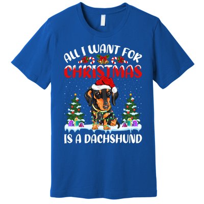 Funny Santa Hat All I Want For Christmas Is A Dachshund Gift Premium T-Shirt