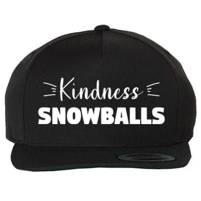 Funny Snow Humor Quote For A Winter Lover Great Gift Wool Snapback Cap