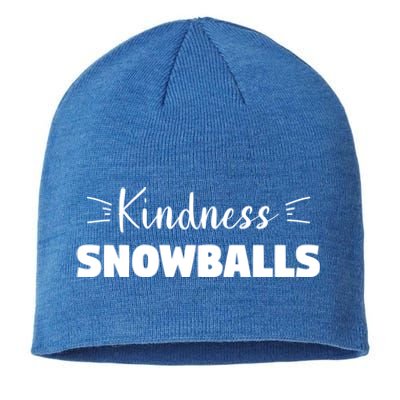 Funny Snow Humor Quote For A Winter Lover Great Gift Sustainable Beanie