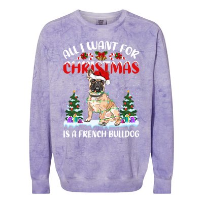 Funny Santa Hat All I Want For Christmas Is A French Bulldog Gift Colorblast Crewneck Sweatshirt