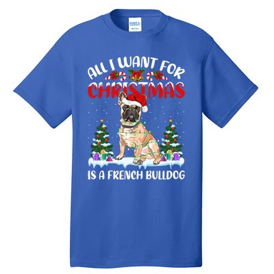 Funny Santa Hat All I Want For Christmas Is A French Bulldog Gift Tall T-Shirt