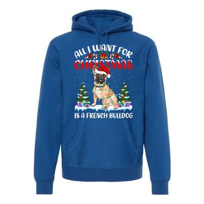 Funny Santa Hat All I Want For Christmas Is A French Bulldog Gift Premium Hoodie