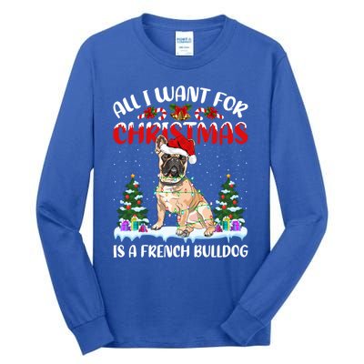 Funny Santa Hat All I Want For Christmas Is A French Bulldog Gift Tall Long Sleeve T-Shirt