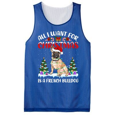 Funny Santa Hat All I Want For Christmas Is A French Bulldog Gift Mesh Reversible Basketball Jersey Tank