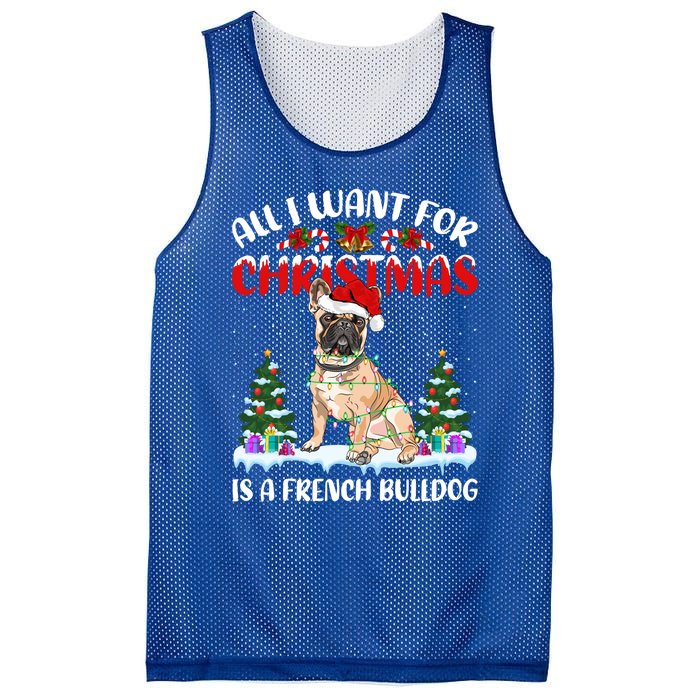 Funny Santa Hat All I Want For Christmas Is A French Bulldog Gift Mesh Reversible Basketball Jersey Tank