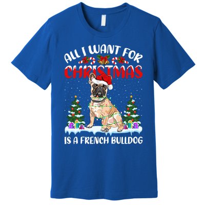 Funny Santa Hat All I Want For Christmas Is A French Bulldog Gift Premium T-Shirt