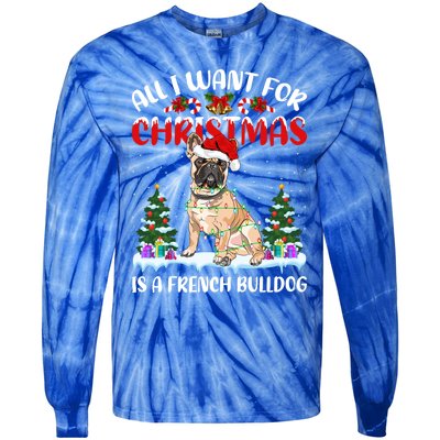 Funny Santa Hat All I Want For Christmas Is A French Bulldog Gift Tie-Dye Long Sleeve Shirt