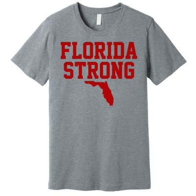 Florida Strong Hurricane Milton Premium T-Shirt