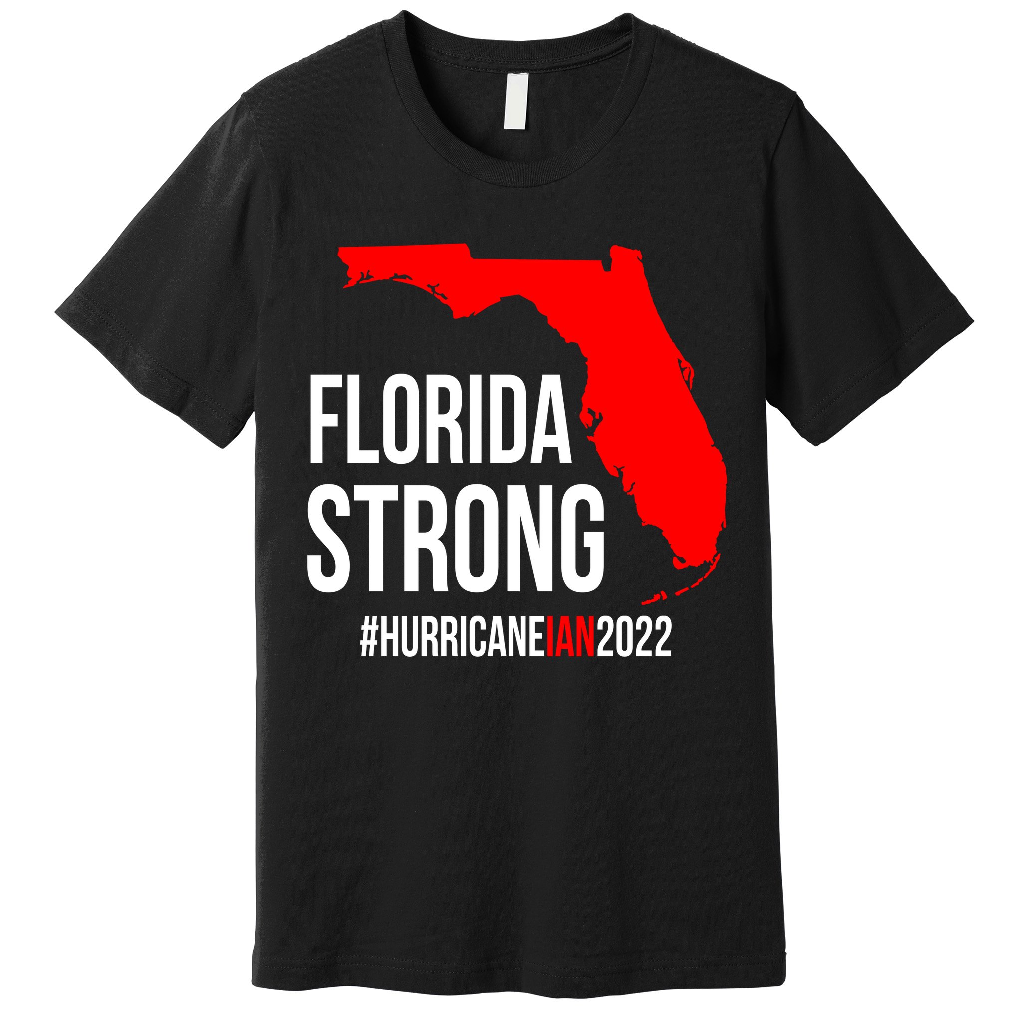 Florida Strong Hurricane Ian Support Florida Vintage American US Flag Premium T-Shirt