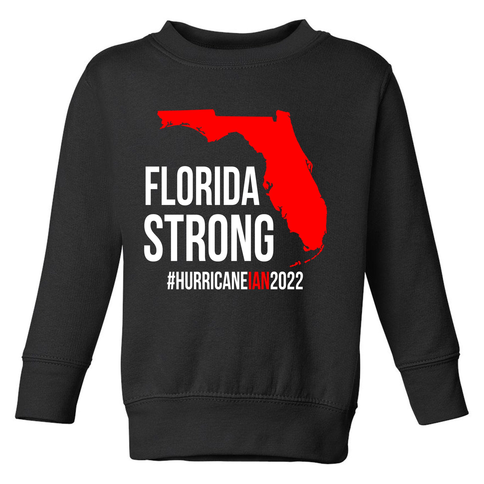 Florida Strong Hurricane Ian Support Florida Vintage American US Flag Toddler Sweatshirt