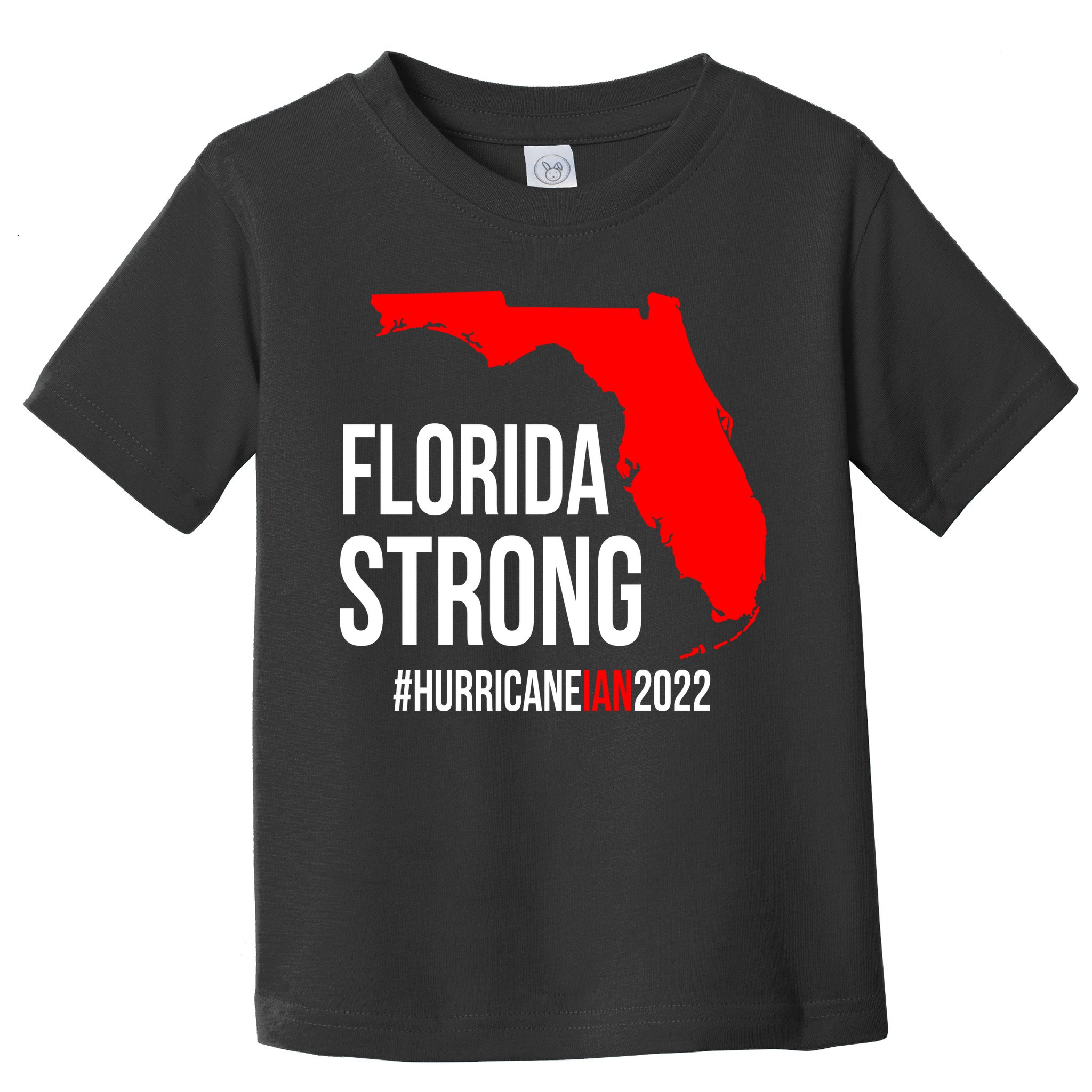 Florida Strong Hurricane Ian Support Florida Vintage American US Flag Toddler T-Shirt