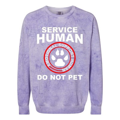 Funny Service Human Gift Funny Dog Owner Emotional Support Human Colorblast Crewneck Sweatshirt