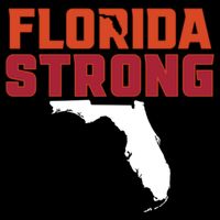 Florida Strong Hurricane Ian Support Florida Impact Tech Backpack