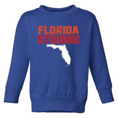 Florida Strong Hurricane Ian Support Florida Toddler Sweatshirt