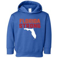 Florida Strong Hurricane Ian Support Florida Toddler Hoodie