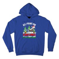 Funny Santa Hat I Want For Christmas Is A Airplane Ugly Xmas Cool Gift Hoodie