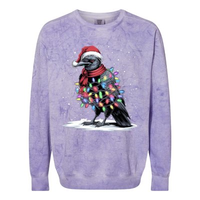 Funny Santa Hat Crow Crow Christmas Tree Lights Colorblast Crewneck Sweatshirt