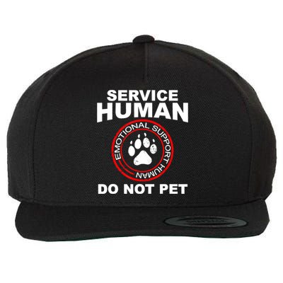 Funny Service Human Gift Funny Dog Owner Emotional Support Human Wool Snapback Cap