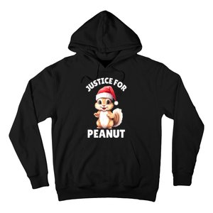 Funny Santa Hat Justice For Peanut The Squirrel Gift Hoodie