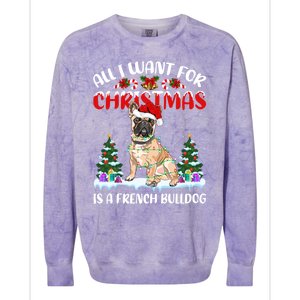 Funny Santa Hat All I Want For Christmas Is A French Bulldog Meaningful Gift Colorblast Crewneck Sweatshirt