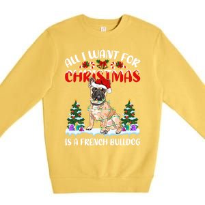 Funny Santa Hat All I Want For Christmas Is A French Bulldog Meaningful Gift Premium Crewneck Sweatshirt