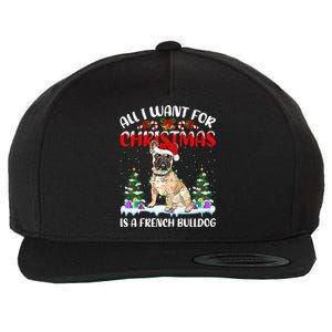 Funny Santa Hat All I Want For Christmas Is A French Bulldog Meaningful Gift Wool Snapback Cap