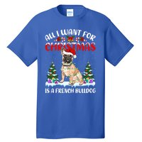 Funny Santa Hat All I Want For Christmas Is A French Bulldog Meaningful Gift Tall T-Shirt