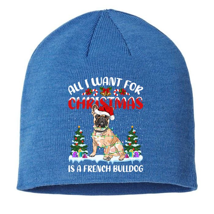 Funny Santa Hat All I Want For Christmas Is A French Bulldog Meaningful Gift Sustainable Beanie