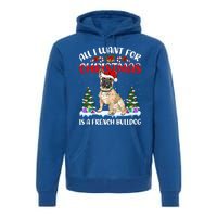 Funny Santa Hat All I Want For Christmas Is A French Bulldog Meaningful Gift Premium Hoodie