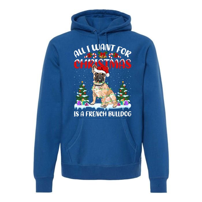 Funny Santa Hat All I Want For Christmas Is A French Bulldog Meaningful Gift Premium Hoodie