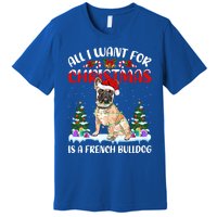 Funny Santa Hat All I Want For Christmas Is A French Bulldog Meaningful Gift Premium T-Shirt