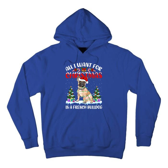 Funny Santa Hat All I Want For Christmas Is A French Bulldog Meaningful Gift Tall Hoodie