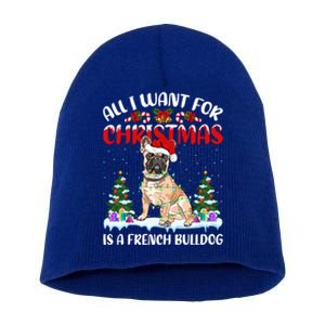 Funny Santa Hat All I Want For Christmas Is A French Bulldog Meaningful Gift Short Acrylic Beanie