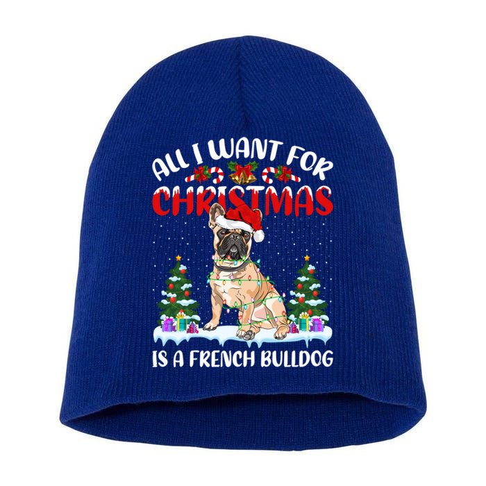 Funny Santa Hat All I Want For Christmas Is A French Bulldog Meaningful Gift Short Acrylic Beanie