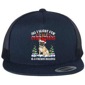 Funny Santa Hat All I Want For Christmas Is A French Bulldog Meaningful Gift Flat Bill Trucker Hat