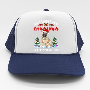 Funny Santa Hat All I Want For Christmas Is A French Bulldog Meaningful Gift Trucker Hat