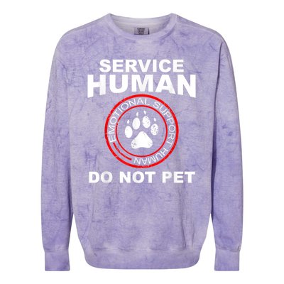 Funny Service Human Gift Funny Dog Owner Emotional Support Human Colorblast Crewneck Sweatshirt