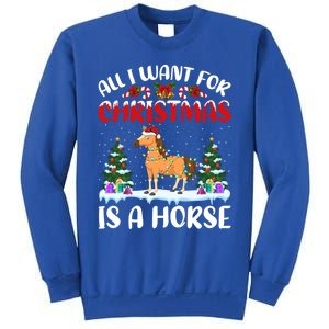 Funny Santa Hat All I Want For Christmas Is A Horse Gift Sweatshirt