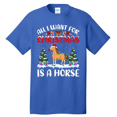 Funny Santa Hat All I Want For Christmas Is A Horse Gift Tall T-Shirt