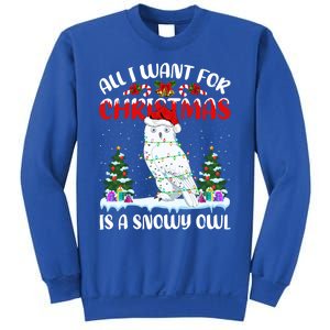 Funny Santa Hat All I Want For Christmas Is A Snowy Owl Gift Sweatshirt