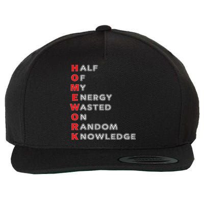 Funny School Homework For Ns Gift Wool Snapback Cap