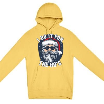 Funny Santa I Do It For The HoS Inappropriate Christmas Gift Premium Pullover Hoodie