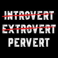 Funny Sarcastic Introvert Extrover Pervert T-Shirt