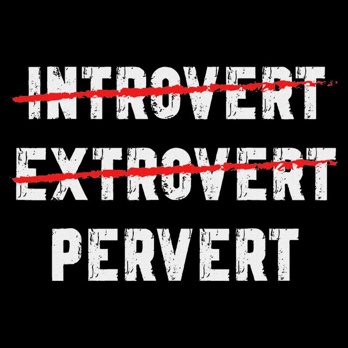 Funny Sarcastic Introvert Extrover Pervert T-Shirt