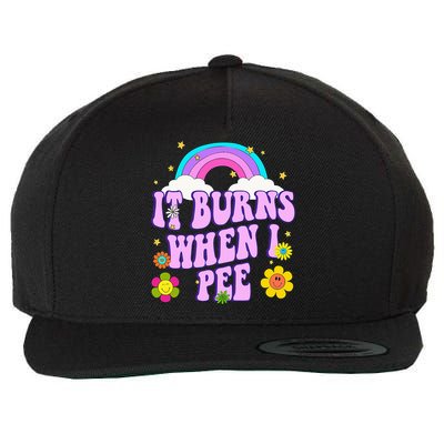 Funny Sarcastic Ironic It Burns When I Pee Inappropriate Wool Snapback Cap
