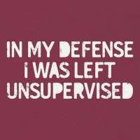 Funny Saying In My Defense I Was Left Unsupervised 16oz Travel Tumbler