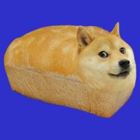 Fashion Shiba Inu Doge Bread Meme Dog Ugly Cool Gift Sweater Button