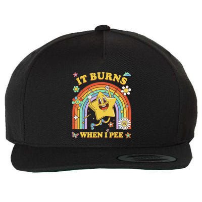 Funny Saying It Burns When I Pee Sarcastic Meme Wool Snapback Cap
